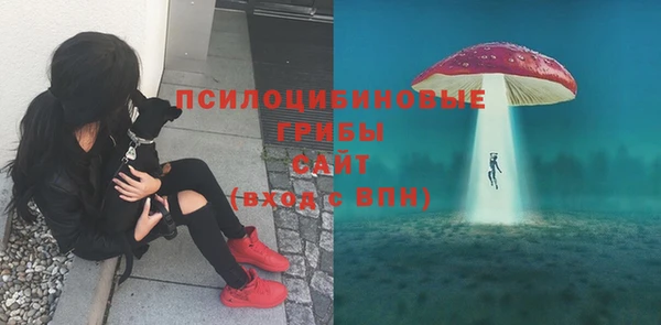 спайс Богородицк