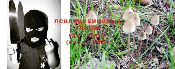 мяу мяу мука Нефтегорск